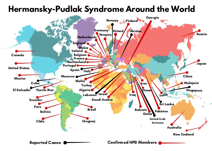 HPS Map 11-19-25 HPS Map 11 19 25 1 pdf